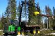 Малый бизнес в лесной отрасли принес казне Поморья свыше 70 миллионов рублей — Экономика — Новости Архангельска
